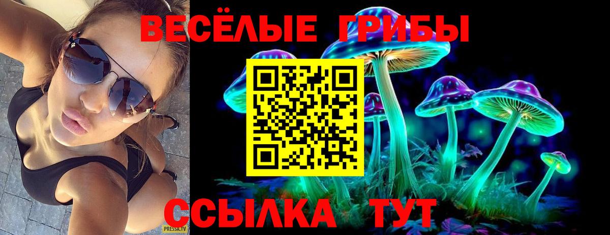 Галлюциногенные грибы Cubensis  цены наркотик  Фролово  Вход с VPN 